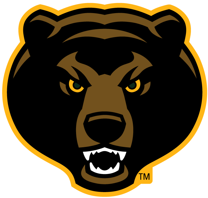 Baylor Bears 2005-Pres Alternate Logo v6 diy fabric transfer